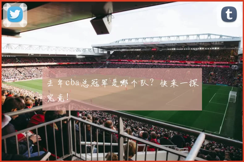 去年cba总冠军是哪个队？快来一探究竟！