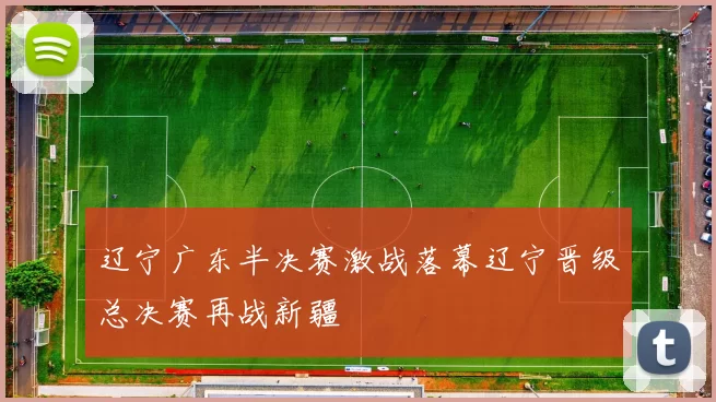 辽宁广东半决赛激战落幕辽宁晋级总决赛再战新疆